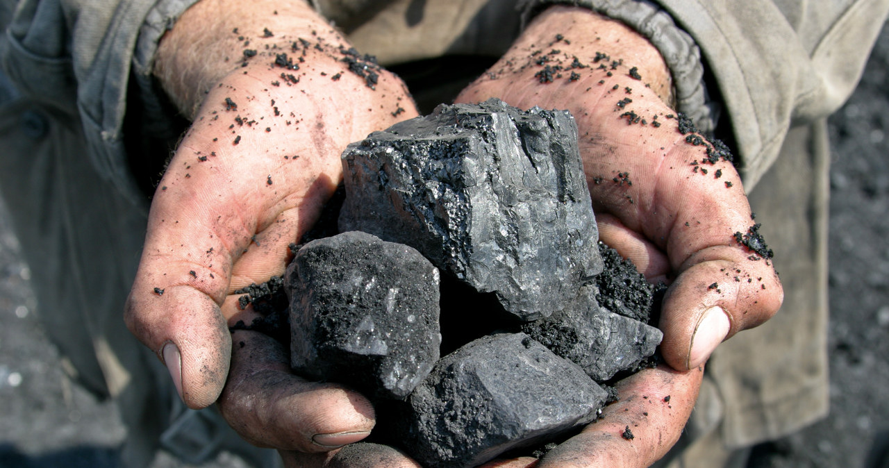 Branże związane z górnictwem liczą na zyski z hossy węglowej /123RF/PICSEL