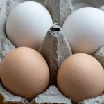 Brązowe jaja znikną z polskich sklepów? "Białe kury mają większy potencjał"