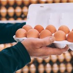 Brązowe jajka znikną ze sklepowych półek? Powód jest zaskakujący
