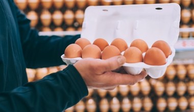 Brązowe jajka znikną ze sklepowych półek? Powód jest zaskakujący