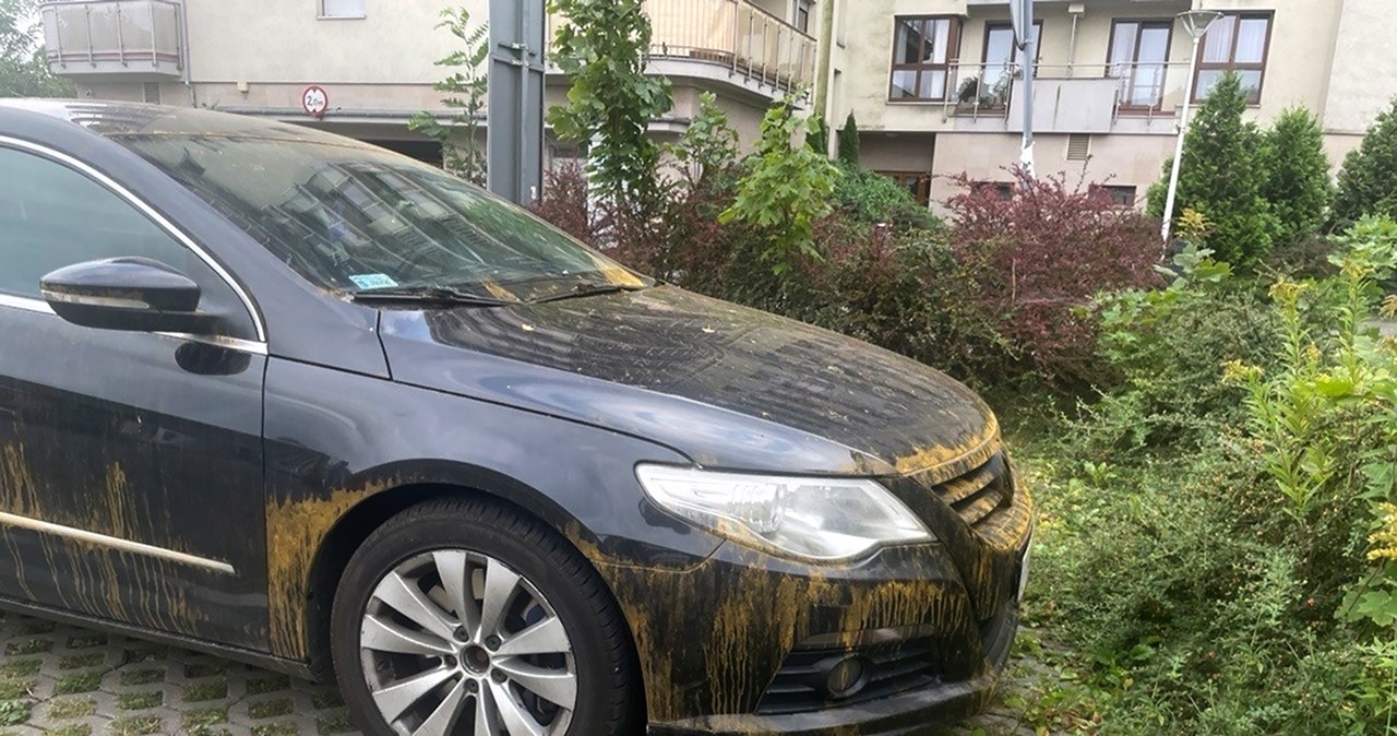 Brązowy deszcz? To nie wymysł meteorologów ale opad pyłu znad Sahary zwanego kalima /INTERIA.PL