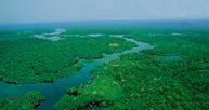 Brazylia, Amazonia /Encyklopedia Internautica