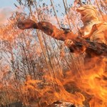 Brazylia: Poza Amazonią płonie też sawanna