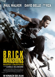 Brick Mansions. Najlepszy z najlepszych