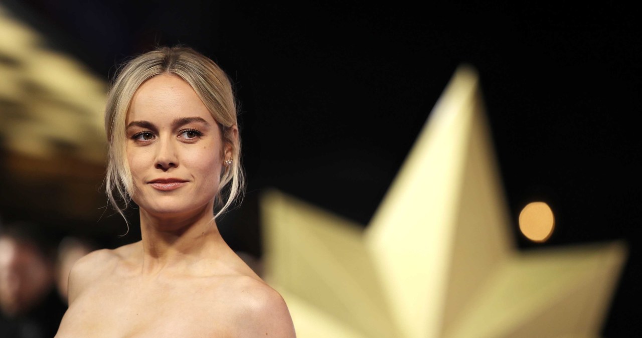 Brie Larson w czasie premiery filmu "Kapitan Marvel" /Mike Marsland / Contributor /Getty Images