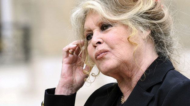 Brigitte Bardot gotowa jest na wszystko, walcząc w słusznej sprawie /AFP