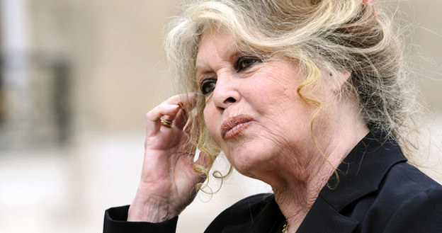 Brigitte Bardot gotowa jest na wszystko, walcząc w słusznej sprawie /AFP