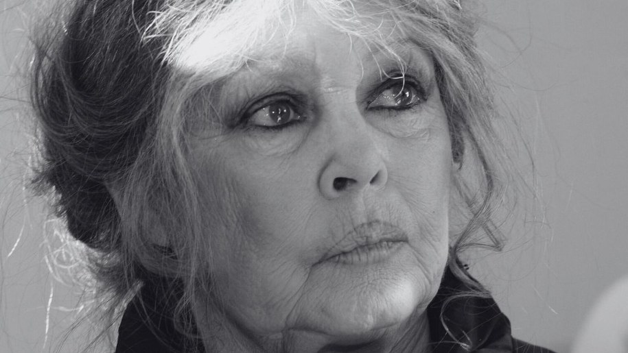 Brigitte Bardot w 2005 roku /VALERY HACHE/AFP/East News /East News