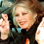 Brigitte Bardot w szpitalu. Niepokojące informacje o zdrowiu ikony francuskiego kina 