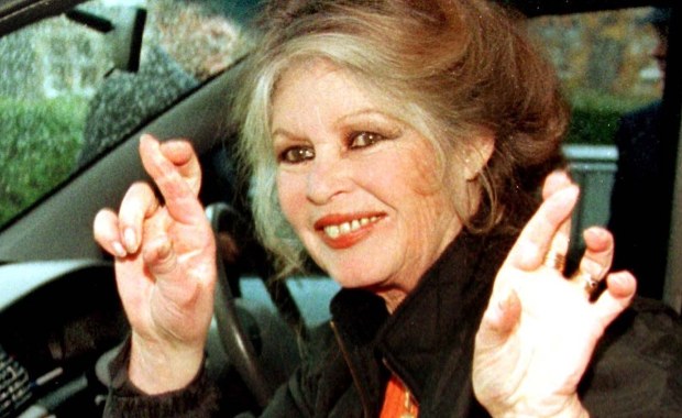 Brigitte Bardot w szpitalu. Niepokojące informacje o zdrowiu ikony francuskiego kina 