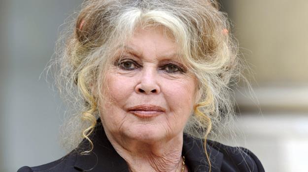 Brigitte Bardot wciąż szokuje, tyle że nie na ekranie /AFP