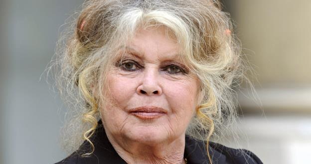 Brigitte Bardot wciąż szokuje, tyle że nie na ekranie /AFP