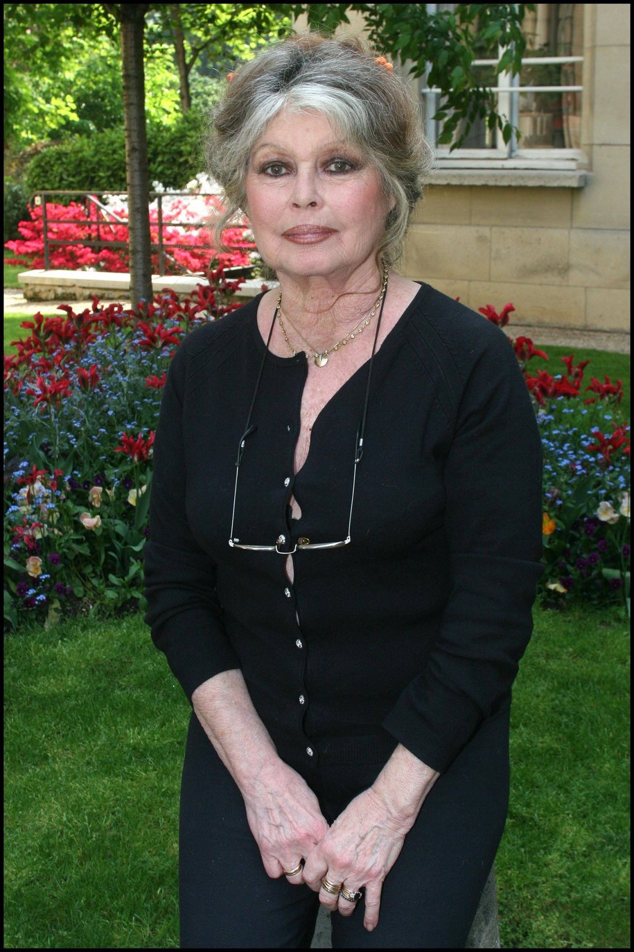 Brigitte Bardot, zdj. z 2006 r. /Jean-Marc Haedrich /PAP/EPA