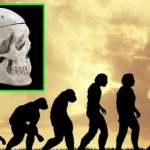 Brodę mają tylko ludzie. Zaskakujące pochodzenie ewolucyjne tej części żuchwy