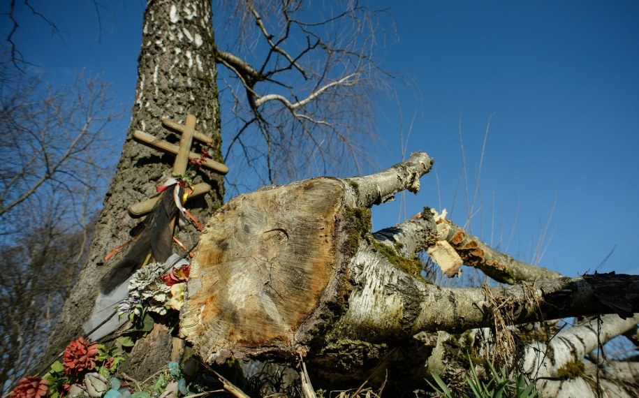 Broza, o którą zawadził tupolew z polską delegacją /PAP/Wojciech Pacewicz /PAP