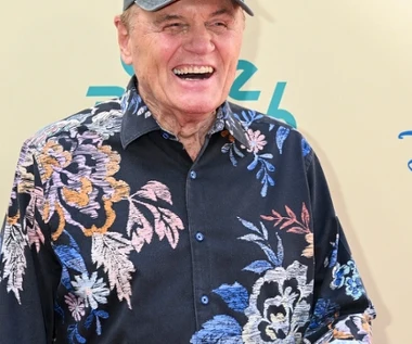 Bruce Johnston odchodzi z The Beach Boys. "Nadszedł moment, aby potraktować to naprawdę poważnie"
