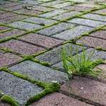 Brudna kostka brukowa będzie tylko wspomnieniem. Prostszego sposobu nie znajdziesz