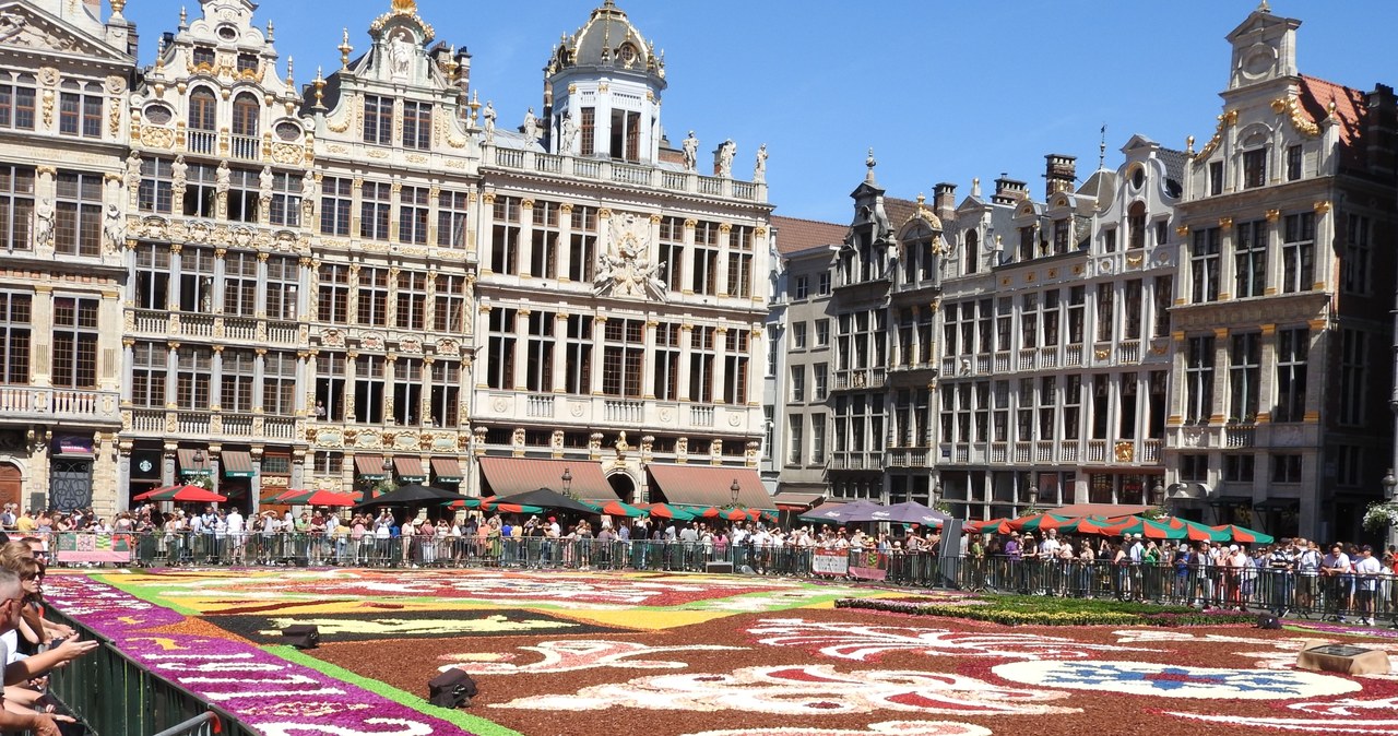 Bruksela: Kwiatowy dywan powrócił na Grand Place