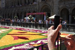 Bruksela: Kwiatowy dywan powrócił na Grand Place