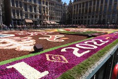 Bruksela: Kwiatowy dywan powrócił na Grand Place