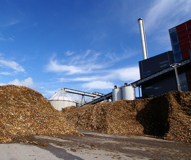 Bruksela pozwoli na spalanie drewna. Ale czy biomasa może zdrożeć?