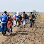 Bruksela przygotowuje się do odsyłania nielegalnych migrantów z Syrii