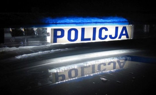 Brutalnie zabił szczeniaki. Grożą mu 3 lata więzienia