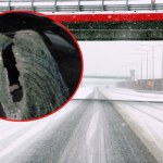 Bryła lodu z tira roztrzaskała szybę Audi, raniła kobietę! Policja szuka sprawcy koszmarnego wypadku