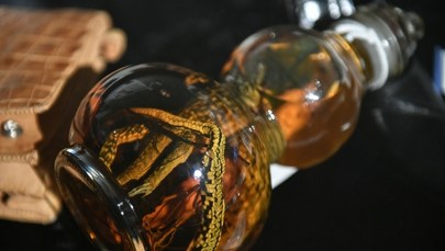 "Brylanty w orzechach". Wystawa o morskim przemycie na statku Sołdek  