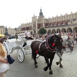 stolica Małopolski