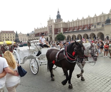 Brytyjczycy chwalą Kraków, ale tę atrakcję odradzają. Nie chodzi tylko o cenę