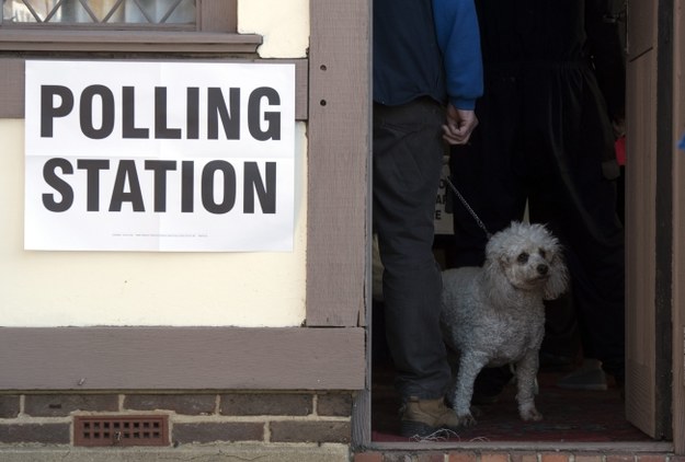Brytyjczycy głosują dziś w wyborach parlamentarnych /HANNAH MCKAY /PAP/EPA