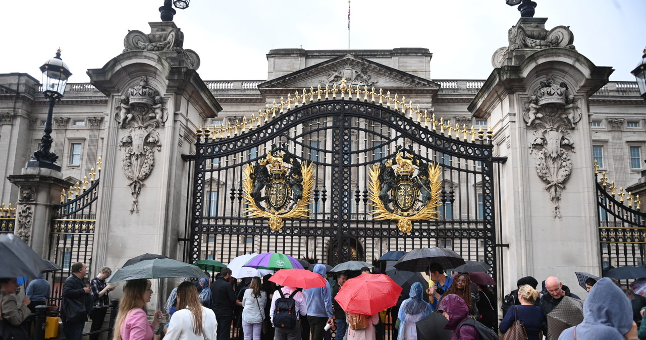 Brytyjczycy przed Pałacem Buckingham