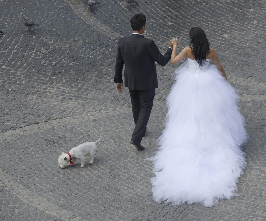 Brytyjczycy zakochują się dwa rzy szybciej niż ich rodzice /Andrzej Rybczyński  /PAP