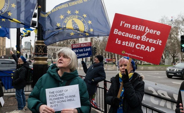 Brytyjczycy żałują brexitu. Obywatele wskazali, kto jest winny "katastrofy"
