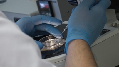 Brytyjscy naukowcy będą mogli modyfikować DNA ludzkich zarodków