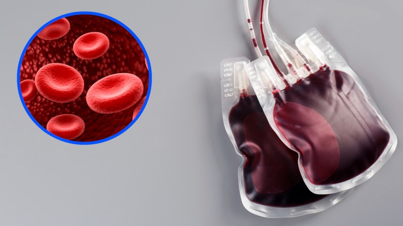 Brytyjscy naukowcy odkryli nową grupę krwi, kończąc śledztwo na temat jednej z największych zagadek współczesnej medycyny /123RF/PICSEL