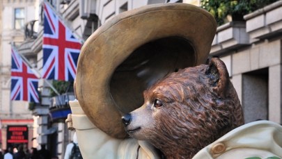 Brytyjscy policjanci odzyskali skradzionego misia