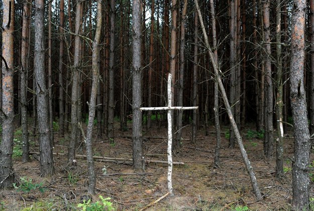 Brzozowy krzyż na skraju lasu przy tzw. trupim polu w rejonie wsi Ostrówki na Ukrainie. 28.07.2011 r. /Darek Delmanowicz /PAP