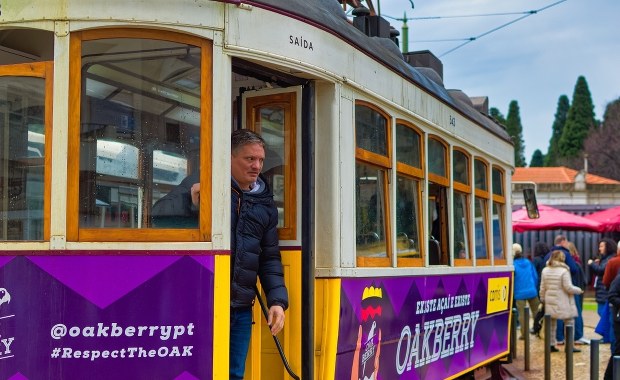 "Brzuchacz", "Psia morda" i "Żul". Policja rozbiła gang emerytów