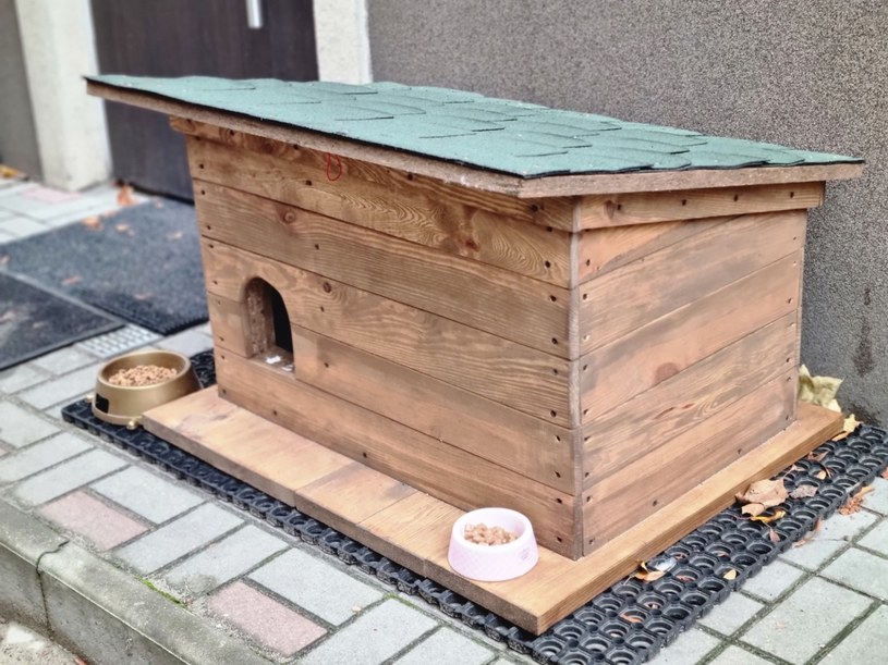 Budki pomogą wolno żyjącym kotom przetrwać zimę /U.M. Nowa Sól /materiały prasowe
