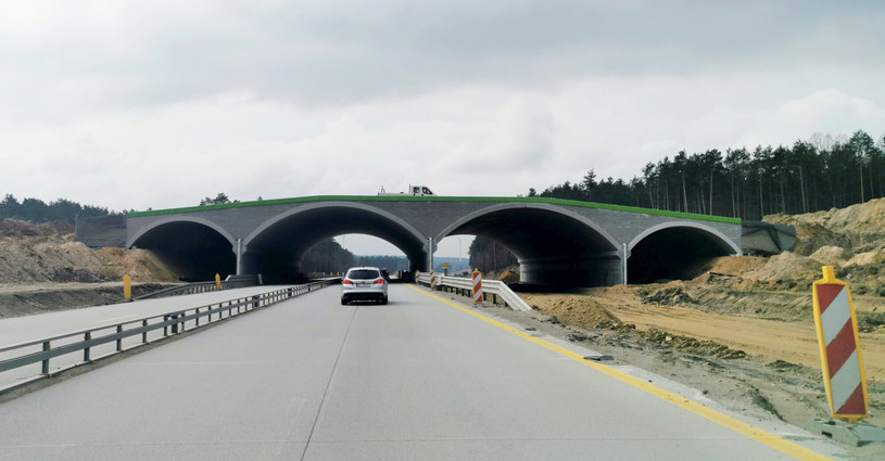 Budowa autostrady A1 /ANDRZEJ ZBRANIECKI /East News