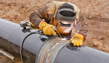 Budowa Baltic Pipe z problemami. Na drodze stały nietoperze i myszy