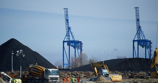 Budowa nowego terminalu naftowego w gdańskim Porcie Północnym /PAP