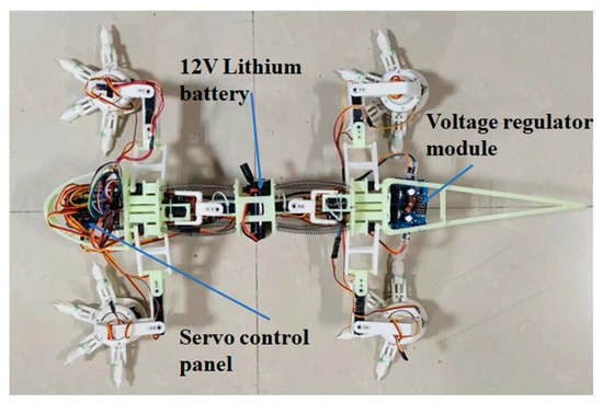 Budowa robota inspirowanego wyglądem jaszczurki /Chen et al (MDPI, 2023) /materiał zewnętrzny