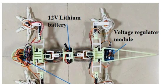 Budowa robota inspirowanego wyglądem jaszczurki /Chen et al (MDPI, 2023) /materiał zewnętrzny