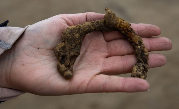 Budowa Wisłostrady. Archeolodzy znaleźli przedmioty z epoki żelaza   