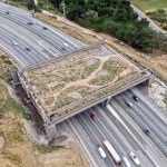 Budują największy most dla zwierząt na świecie. Kosztował 114 mln dolarów