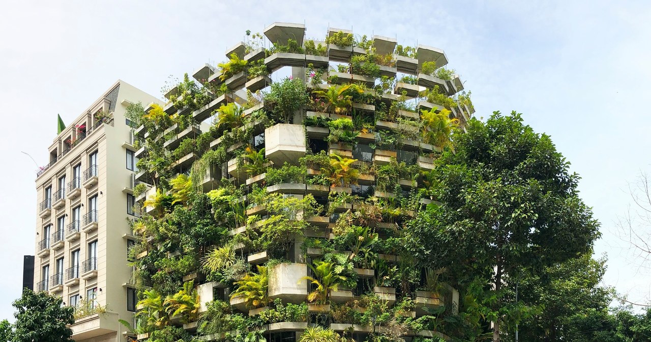 Budynek nawiązuje do wyglądu bujnej roślinności lasów tropikalnych /VTN Architects /Facebook