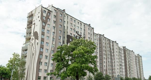 Budynek przy ul. Świeradowskiej we Wrocławiu /PAP